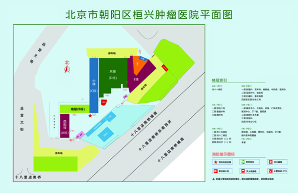 嫩模操逼视频北京市朝阳区桓兴肿瘤医院平面图